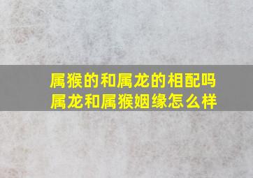 属猴的和属龙的相配吗 属龙和属猴姻缘怎么样